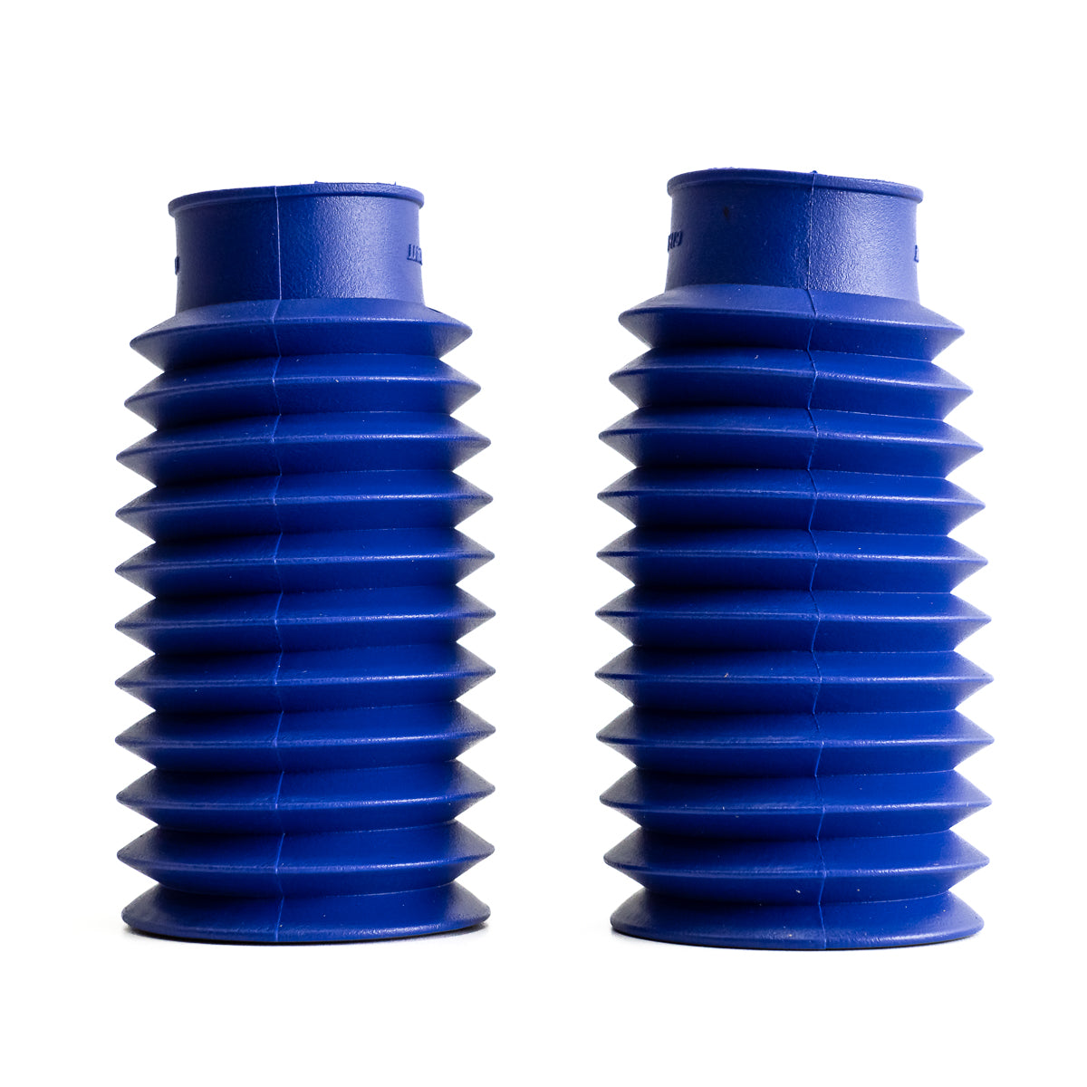 Sanfona Bengala 11 Dentes