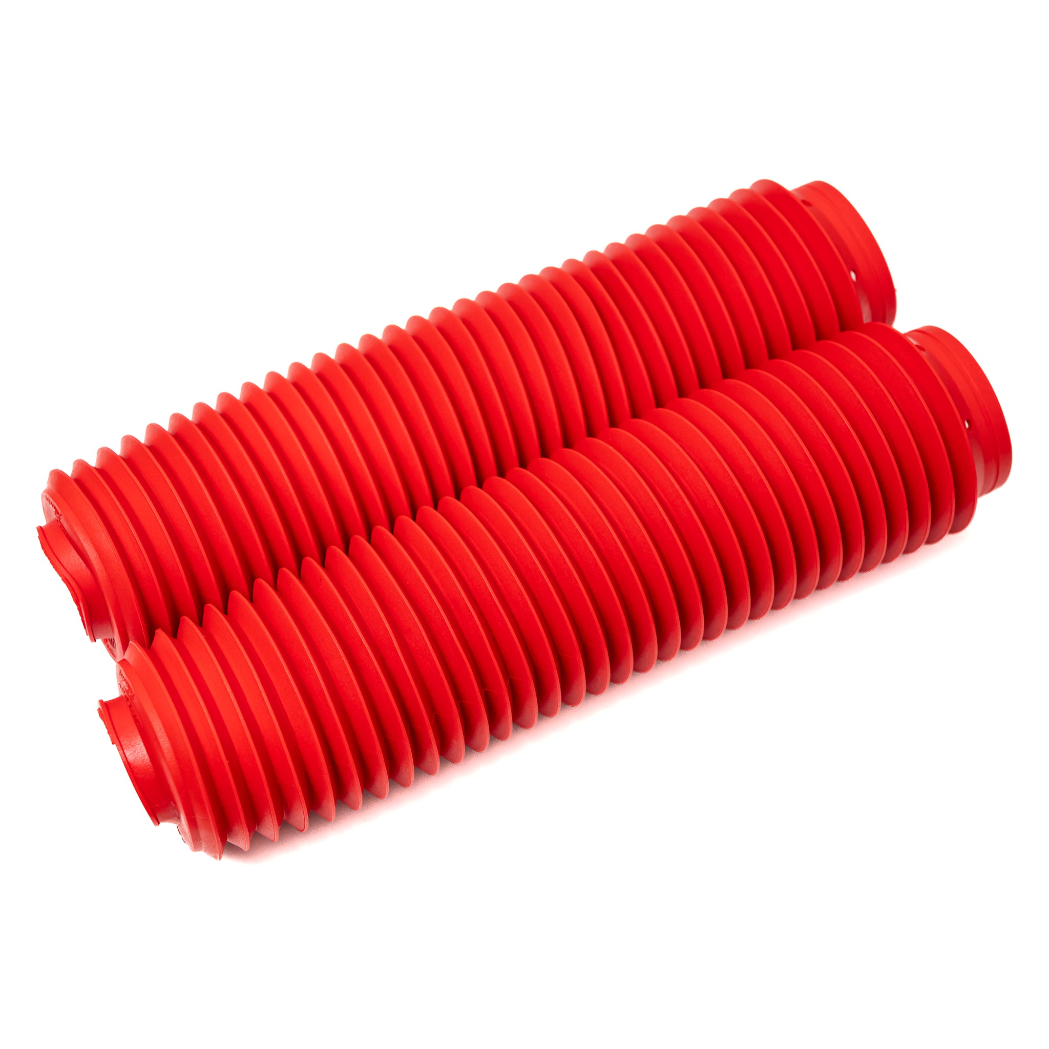 Sanfona de Bengala 32 Dentes EG