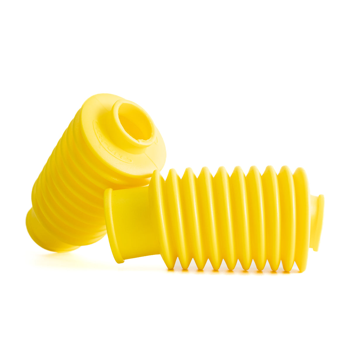 Sanfona de Bengala 10 Dentes
