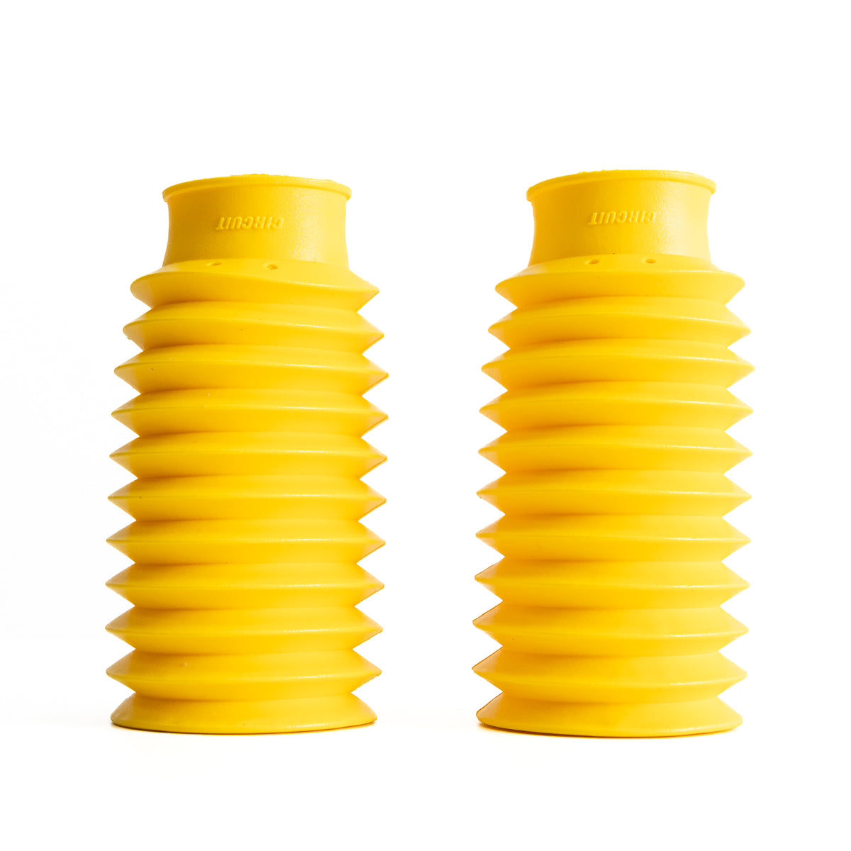 Sanfona Bengala 11 Dentes