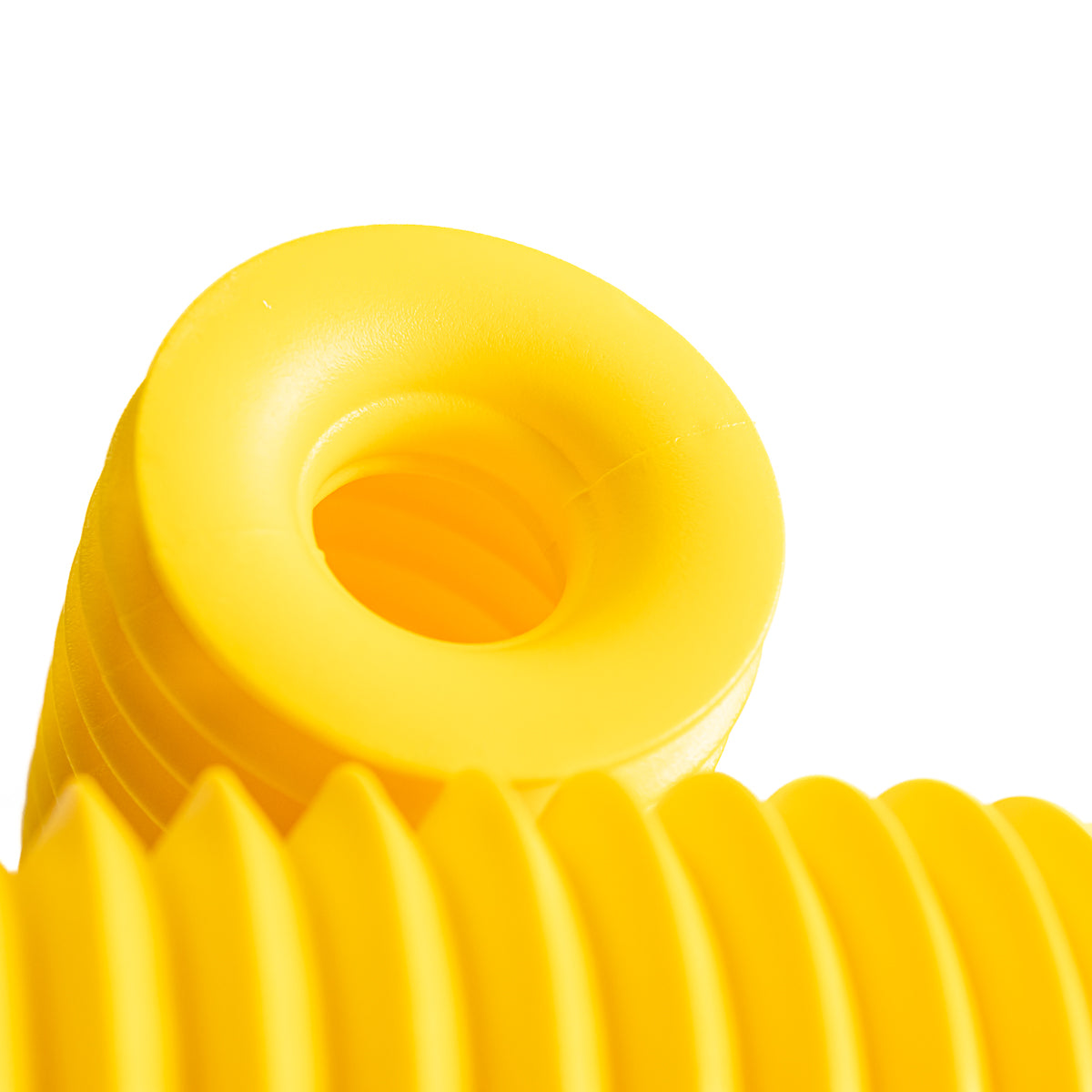Sanfona Bengala 11 Dentes