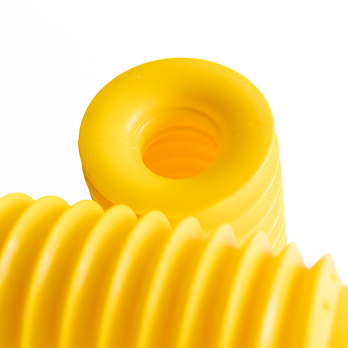 Sanfona Bengala 11 Dentes