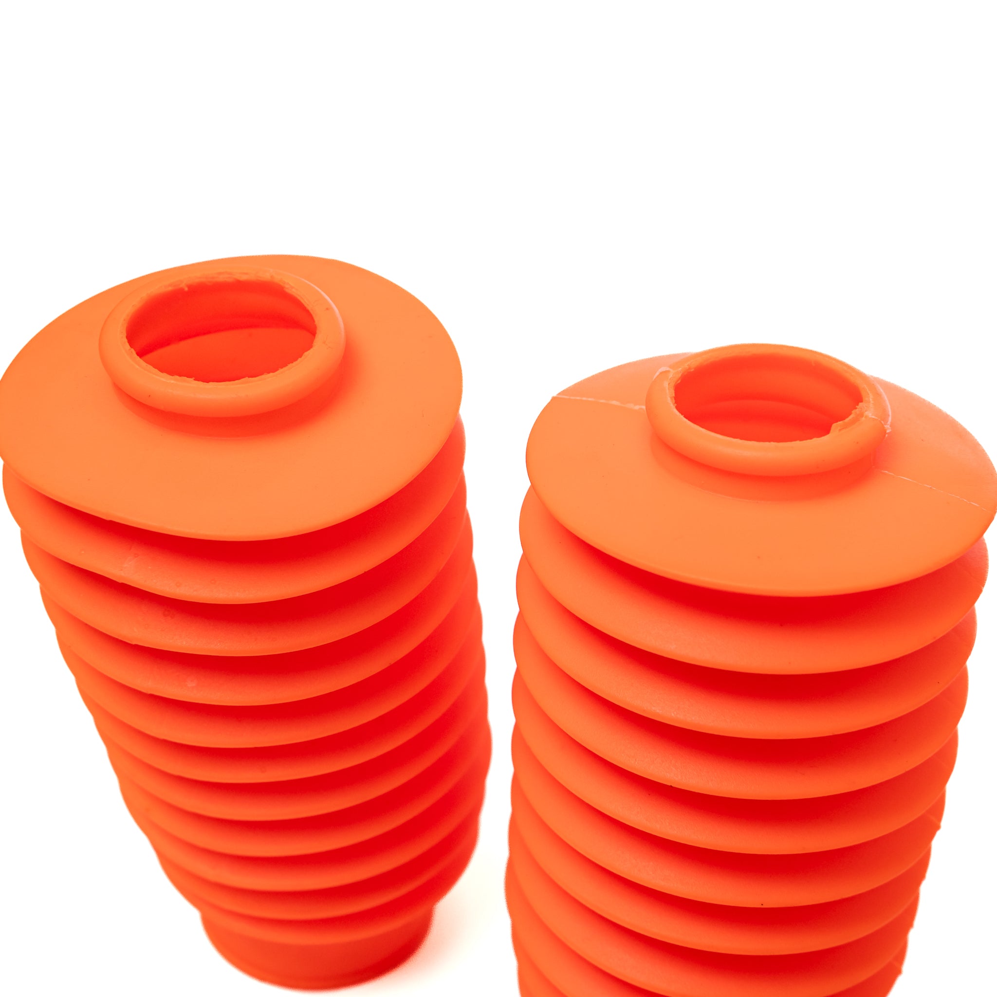 Sanfona Bengala 11 Dentes