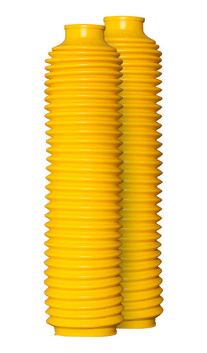 Sanfona Bengala 32 Dentes - Amarelo Circuit Equipment